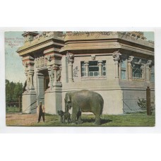 CIUDAD DE BUENOS AIRES ZOOLOGICO ANTIGUA TARJETA POSTAL ELEFANTE